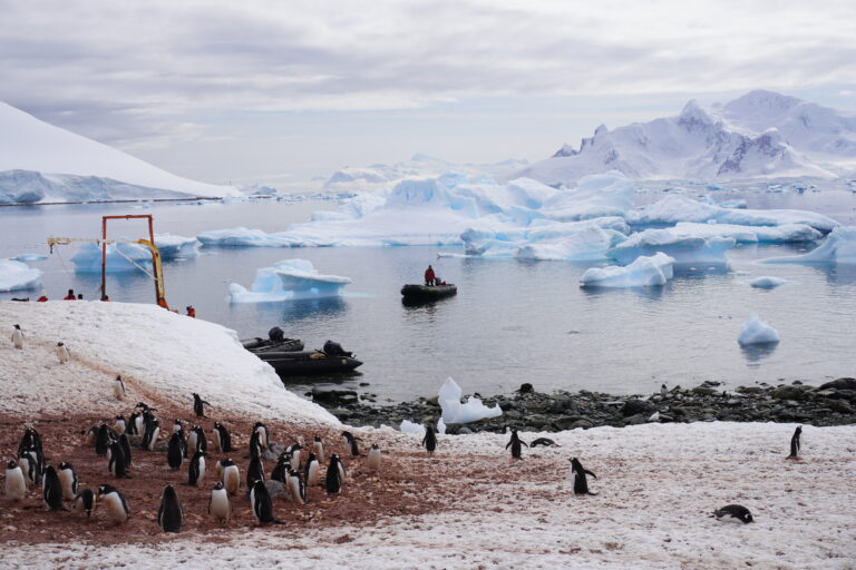 Argentine Sttation Antarctica_00135