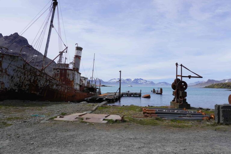 Grytviken Whaling Station..00011