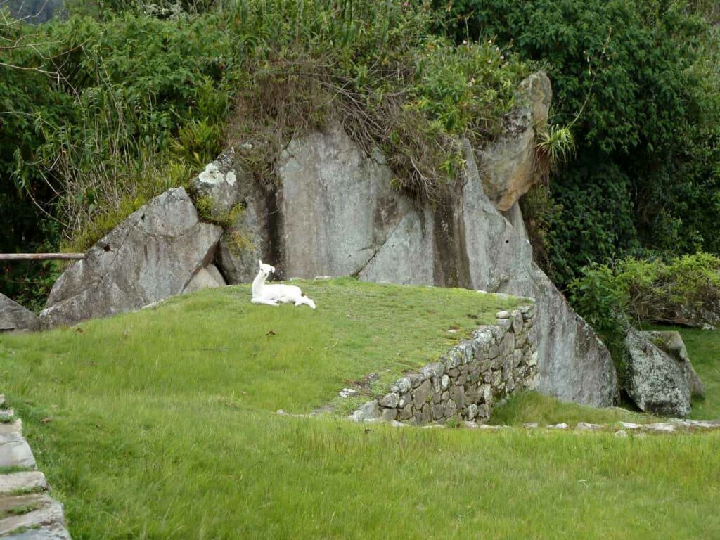 image00022